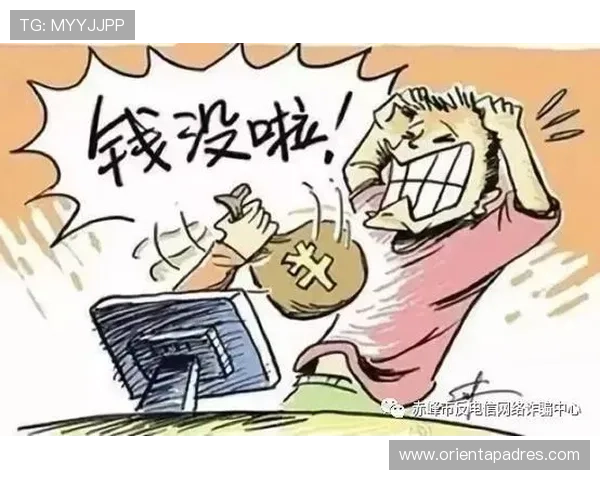 避免误入钓鱼网站，学习辨别365真正网址的实用技巧和验证步骤